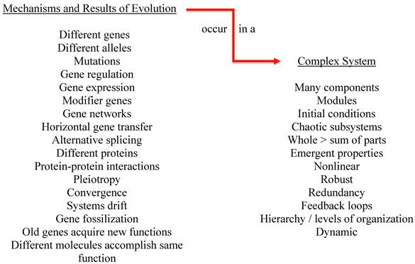 Int J Med Sci Image