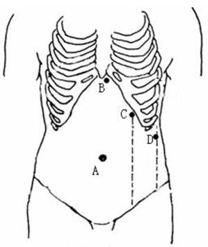 Int J Med Sci Image