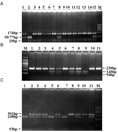 Int J Med Sci Image