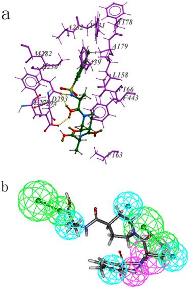 Int J Med Sci Image