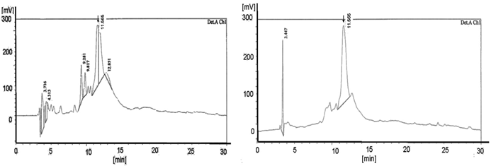 Int J Med Sci Image