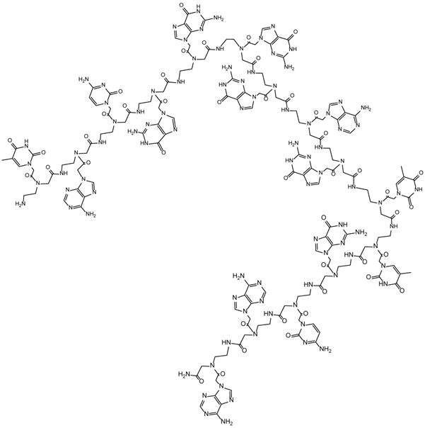 Int J Med Sci Image