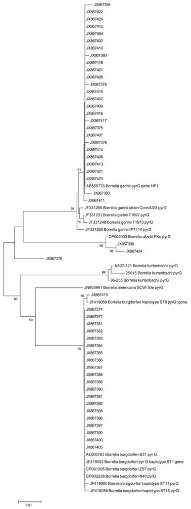 Int J Med Sci Image