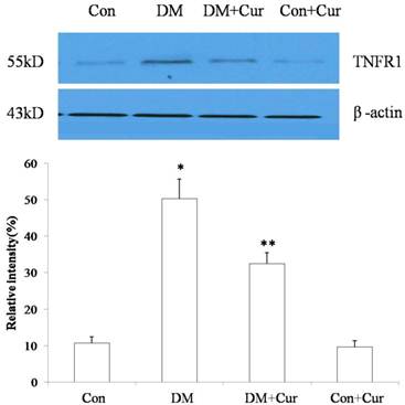 Int J Med Sci Image