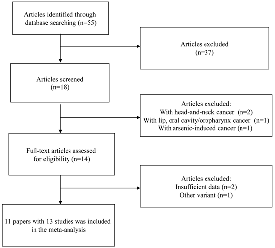 Int J Med Sci Image