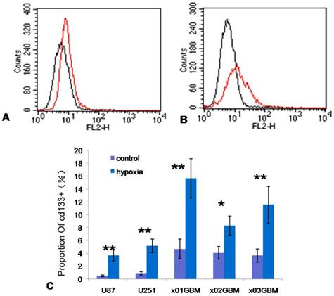 Int J Med Sci Image