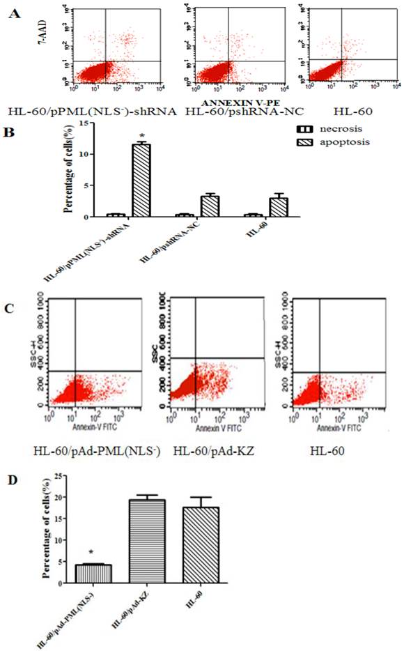 Int J Med Sci Image