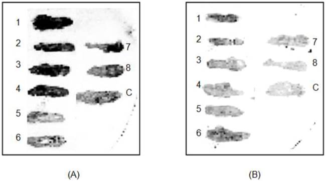 Int J Med Sci Image