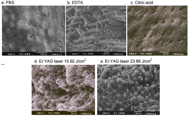 Int J Med Sci Image