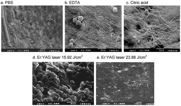 Int J Med Sci Image