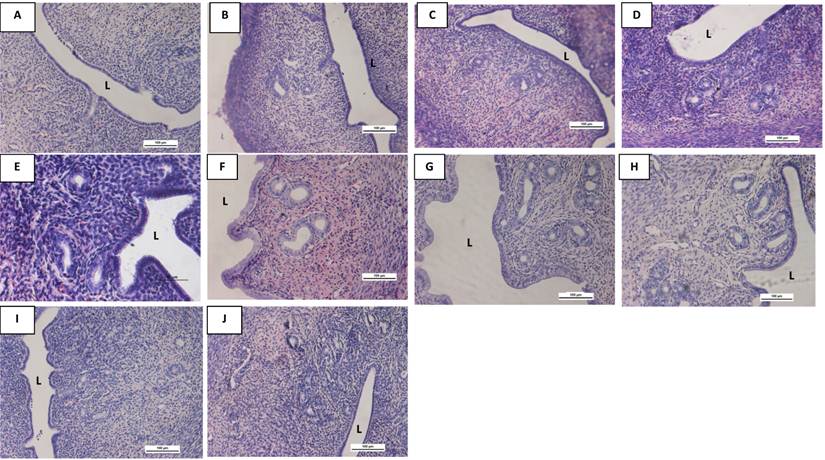 Int J Med Sci Image