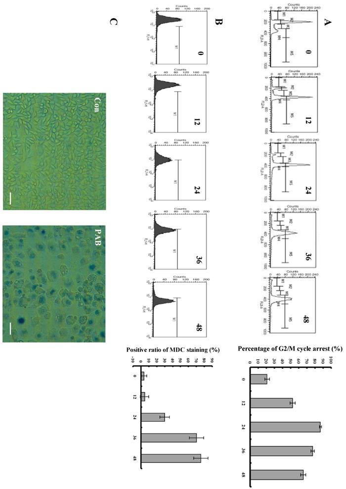 Int J Med Sci Image