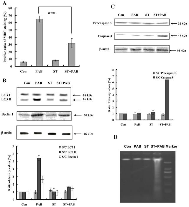 Int J Med Sci Image