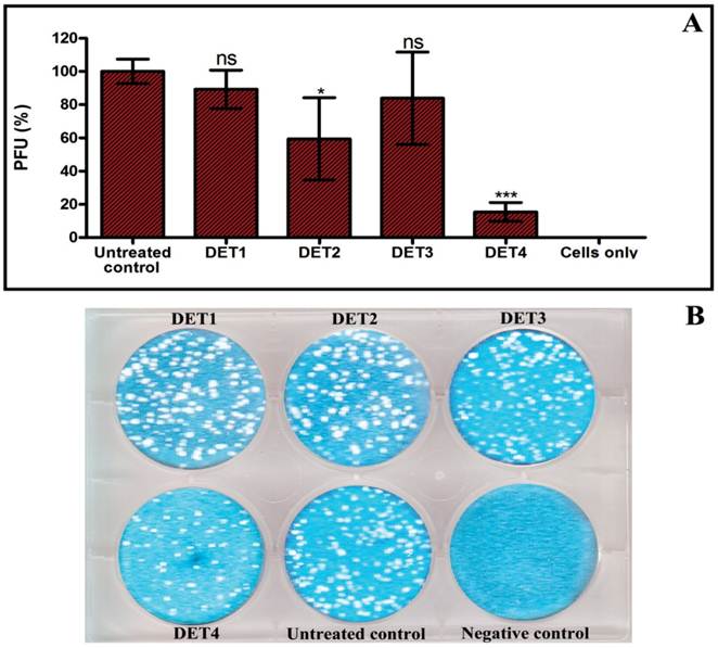 Int J Med Sci Image