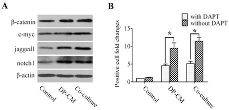 Int J Med Sci Image