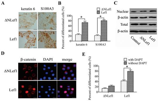 Int J Med Sci Image