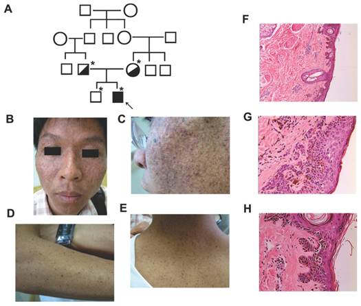 Int J Med Sci Image