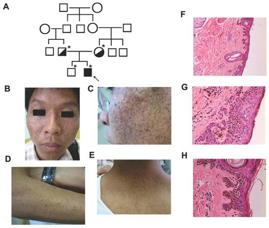 Int J Med Sci Image