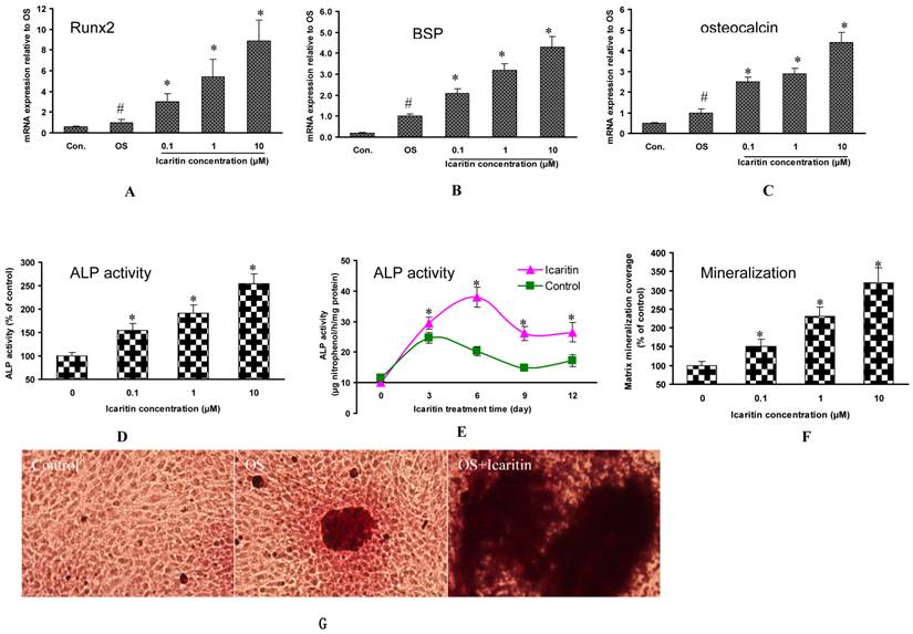 Int J Med Sci Image