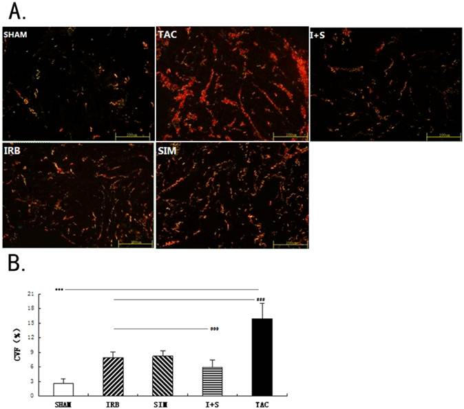 Int J Med Sci Image