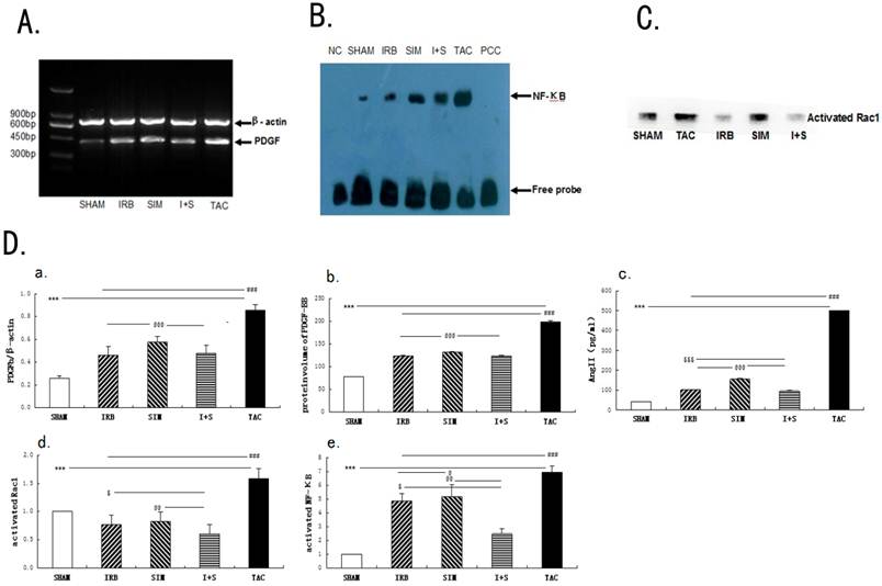 Int J Med Sci Image