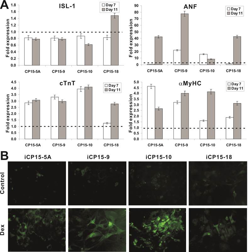 Int J Med Sci Image