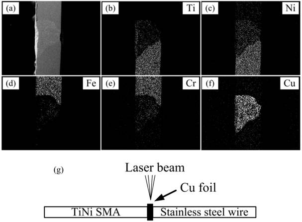 Int J Med Sci Image