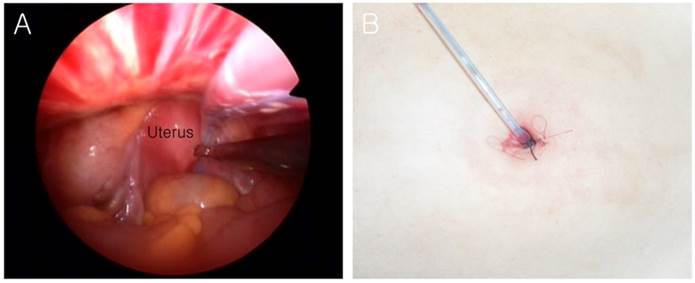 Int J Med Sci Image