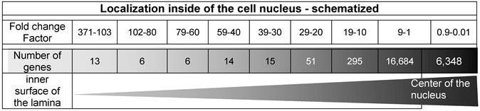 Int J Med Sci Image