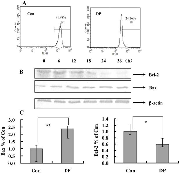 Int J Med Sci Image