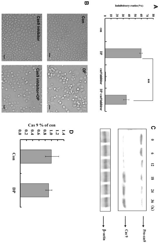 Int J Med Sci Image