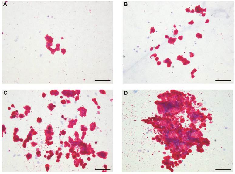 Int J Med Sci Image