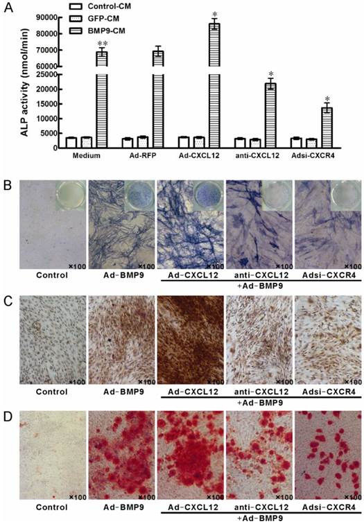 Int J Med Sci Image