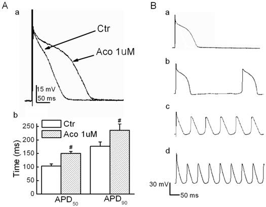 Int J Med Sci Image