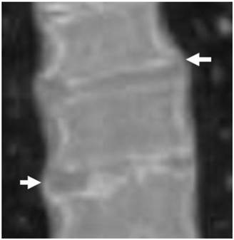 Int J Med Sci Image