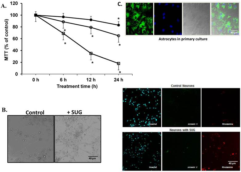 Int J Med Sci Image