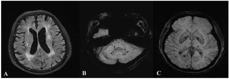 Int J Med Sci Image