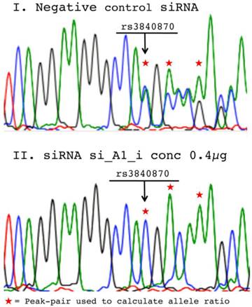 Int J Med Sci Image