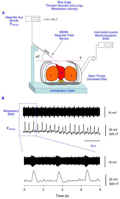 Int J Med Sci Image