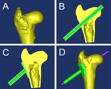 Int J Med Sci Image