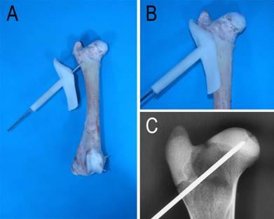 Int J Med Sci Image