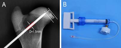 Int J Med Sci Image