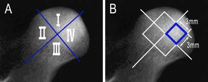 Int J Med Sci Image