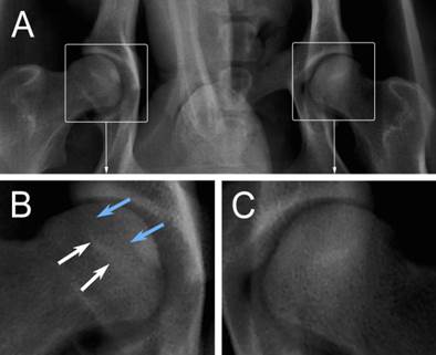 Int J Med Sci Image