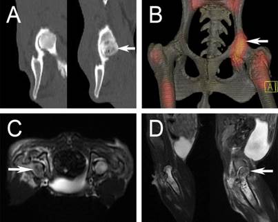 Int J Med Sci Image