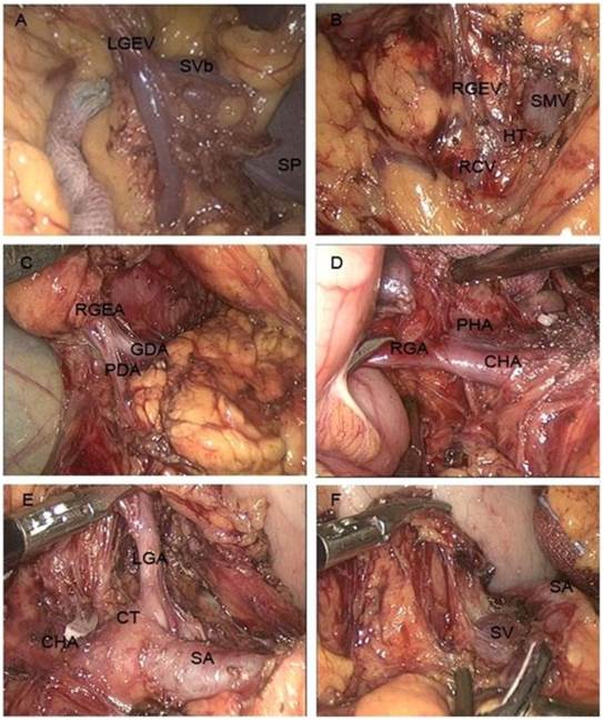 Int J Med Sci Image