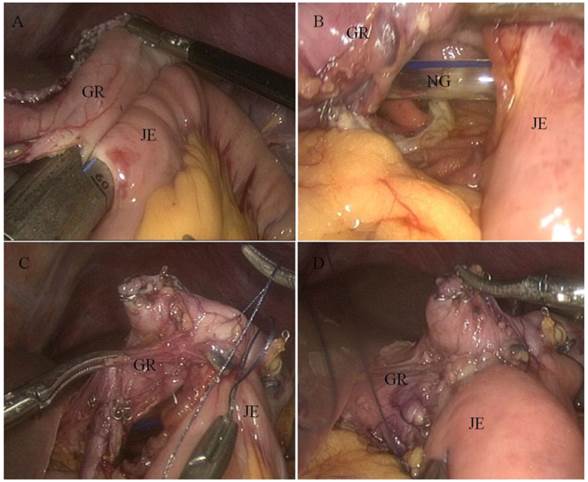 Int J Med Sci Image