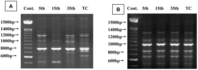 Int J Med Sci Image