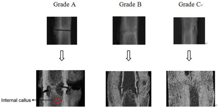 Int J Med Sci Image