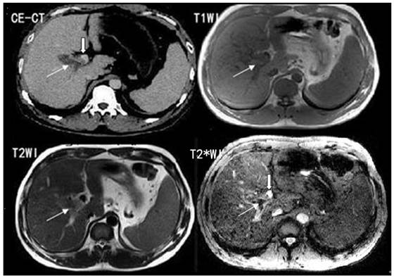 Int J Med Sci Image